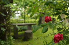 Holiday apartment Il giardino di Elena, Baveno